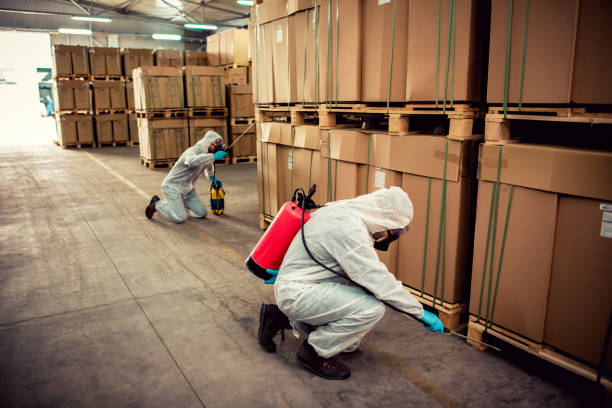 Best Rat Extermination Near Me  in Penhook, VA