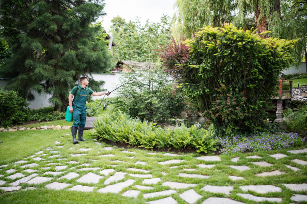 Best Mosquito Control Services  in Penhook, VA