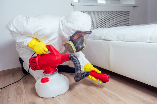 Pest Prevention Services in Penhook, VA