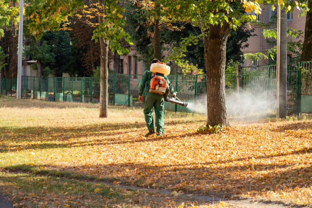 Best Pest Prevention Services  in Penhook, VA