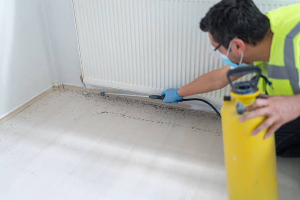 Best Affordable Pest Control Services  in Penhook, VA