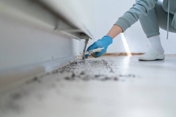 Best Pest Control for Homes  in Penhook, VA
